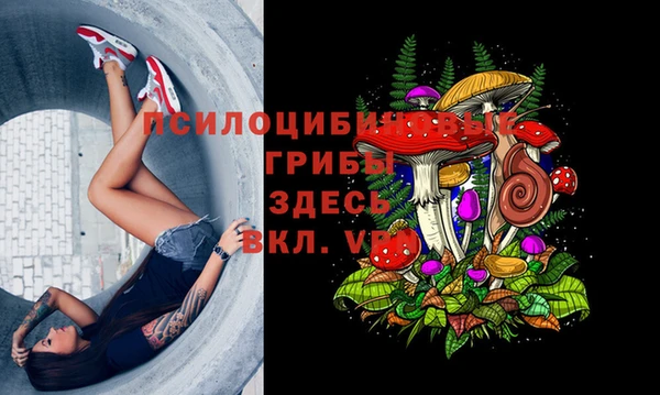 не бодяженный Ростов