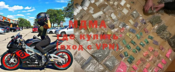 прущие грибы Рославль